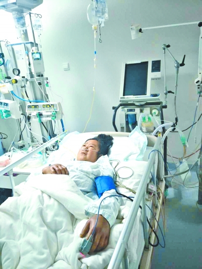 農婦遭馬蜂蜇垂危