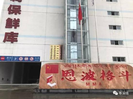 格斗孤兒現反轉