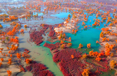 新疆塔里木秋色 塔克拉瑪干大沙漠極端美景