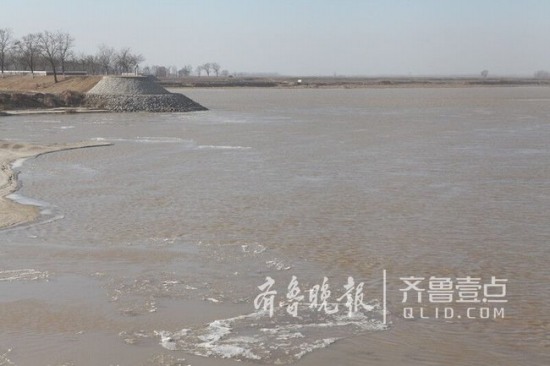 山東黃河淌凌