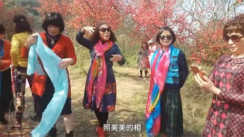 阿姨7條絲巾照相