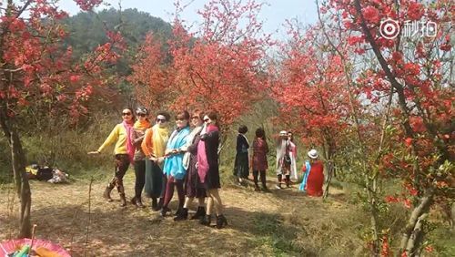 阿姨7條絲巾照相