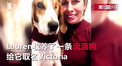 女子被聞出皮膚癌 流浪狗嗅覺真強大