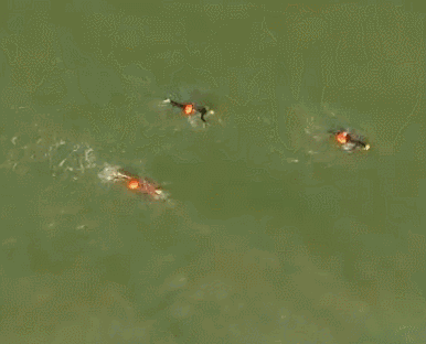 這位中國辣媽火了