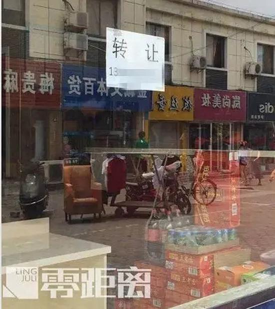 兒子被咬摔死泰迪 愛狗人士殺人