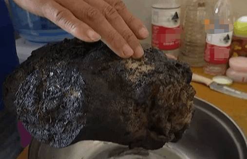 撿到寶貝估值上億