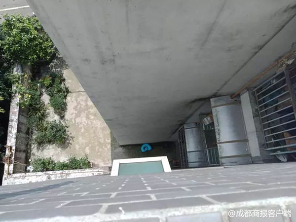 模仿熊出沒攀巖