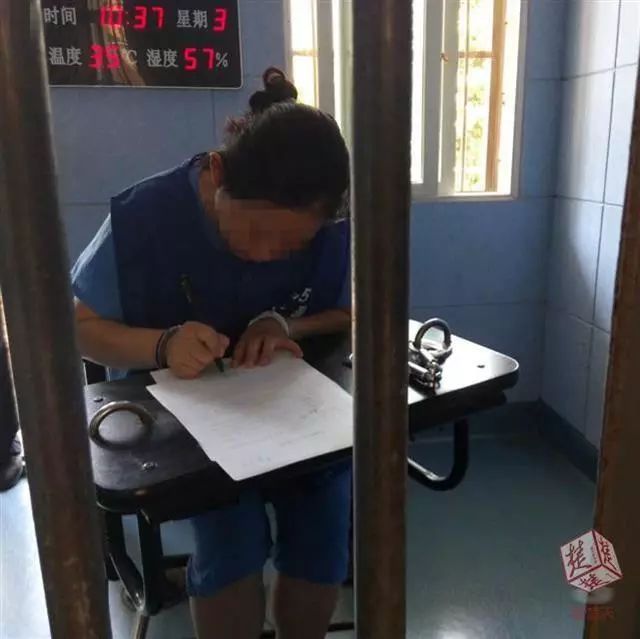 保姆身份驚呆眾人