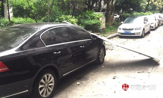 福州臺(tái)風(fēng)瑪莉亞