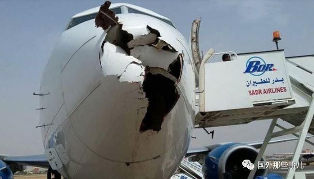 客機撞鳥引擎故障