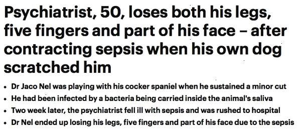 被愛犬舔舐后截肢