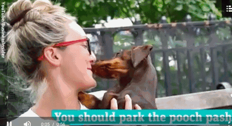 被愛犬舔舐后截肢