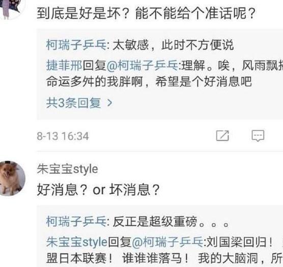 國乒將出重磅消息