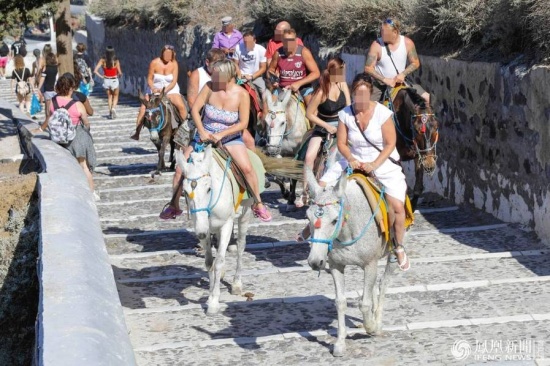 驢被胖游客壓脫皮