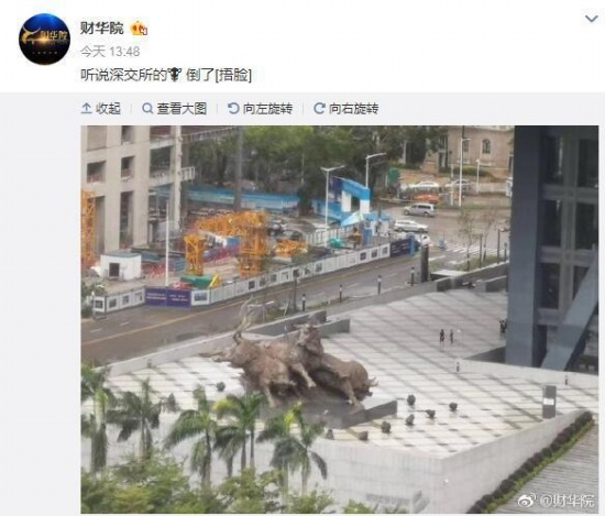 深交所牛雕塑沒倒