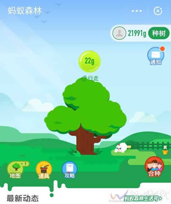 馬云最隱秘的投資 螞蟻森林