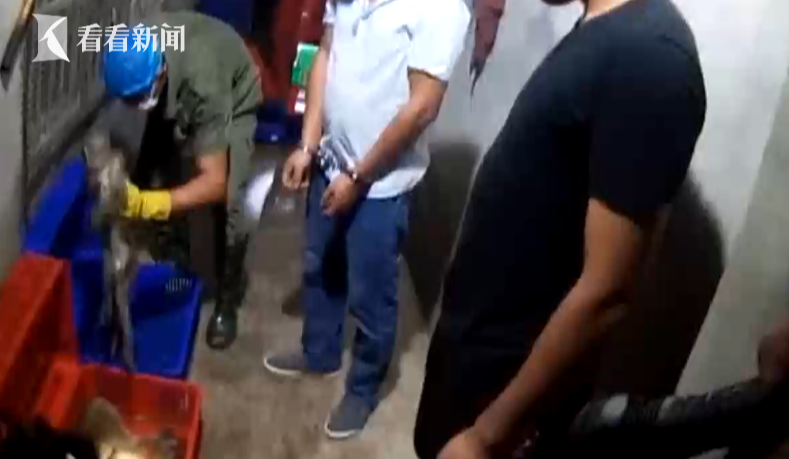 走私135只猴子嫌犯落網