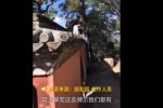 老外爬頤和園圍墻 不文明