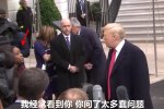 特朗普懟3女記者 三天怒斥3名女記者