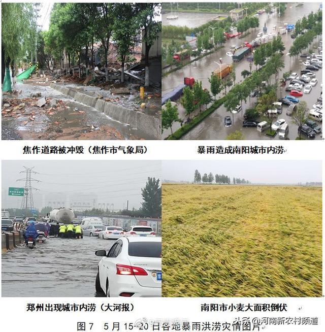 河南十大氣候事件