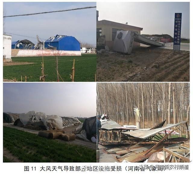 河南十大氣候事件