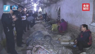 醫(yī)療垃圾加工玩具