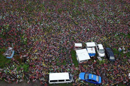 共享單車(chē)堆滿(mǎn)農(nóng)田