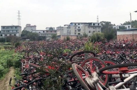 共享單車(chē)堆滿(mǎn)農(nóng)田