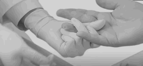 一滴血價值600億