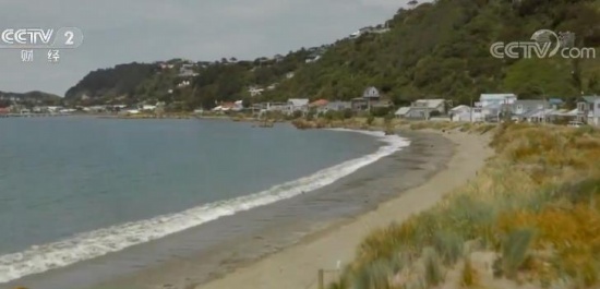 新西蘭開征游客稅