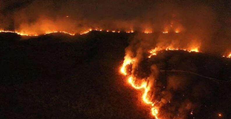 巴西4萬軍人赴亞馬遜滅火