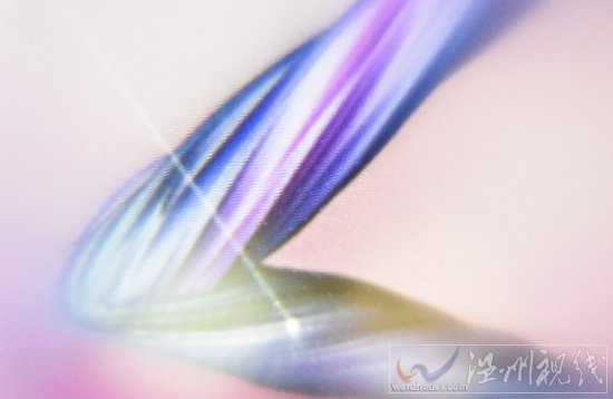 頭戴VR眼鏡質量問題商家拒絕退貨