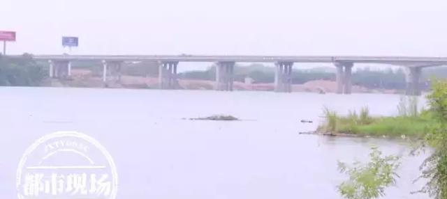 極其罕見!江西男子在贛江抓到“怪魚”,是國家一級保護(hù)動(dòng)物