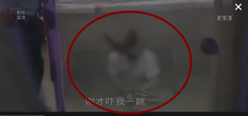 床下現隔壁女鄰居