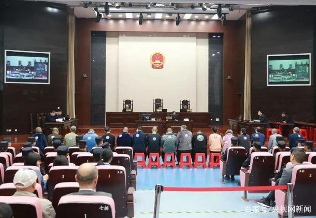 合肥女黑老大獲刑