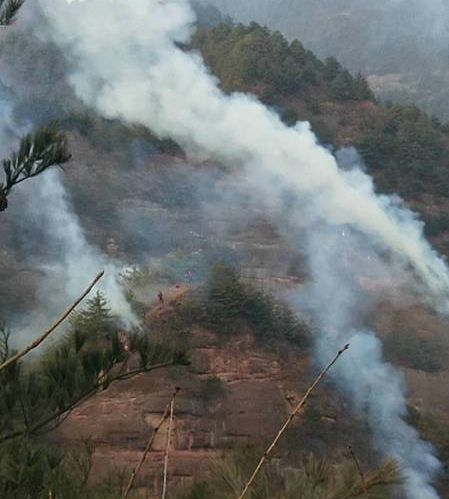 甘肅突發森林火災