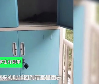 宿舍柜子孵出小鳥(niǎo)