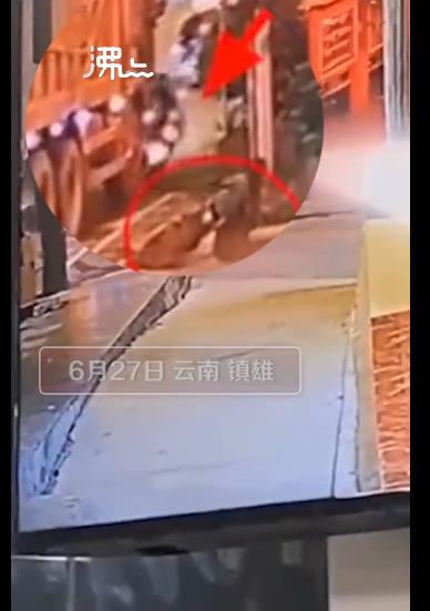 在轉彎處電動車被卷入車輪下