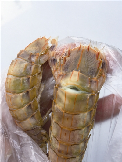 活的蝦姑煮熟之火會(huì)變成綠色的蝦姑