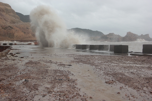 四號臺風對洞頭影響會比較大