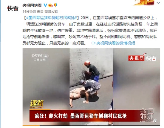 運(yùn)豬車側(cè)翻20噸活豬遭村民瘋搶