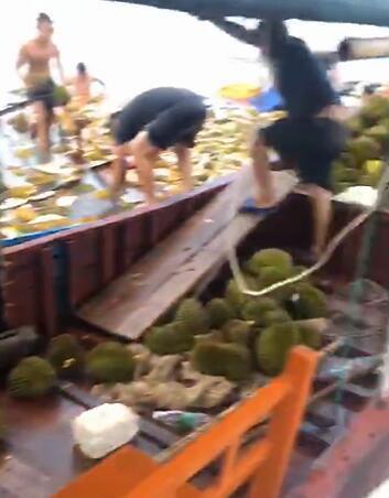 哄搶榴蓮的村民食物中毒