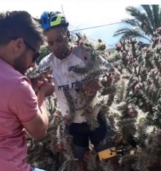 男子騎車失控摔入仙人掌叢