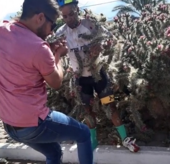 男子騎車失控摔入仙人掌叢