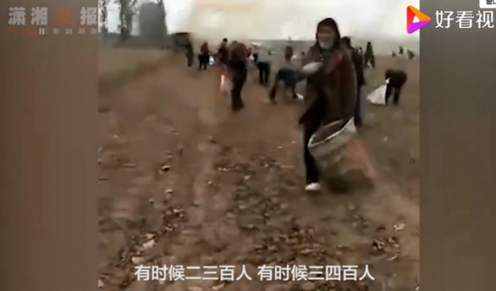 承包商收花生遭數(shù)百村民哄搶