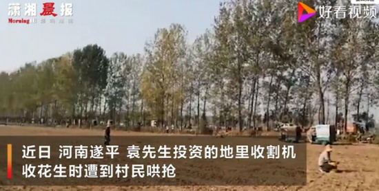 承包商收花生遭數(shù)百村民哄搶