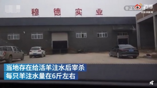 屠宰場給活羊灌水后宰殺