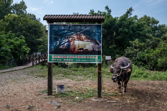 霞浦 中國的網(wǎng)紅“打卡”點(diǎn)和擺拍“圣地”