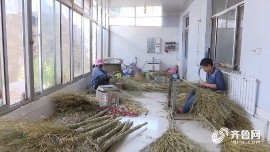 山東一村莊賣掃帚年產值超5千萬