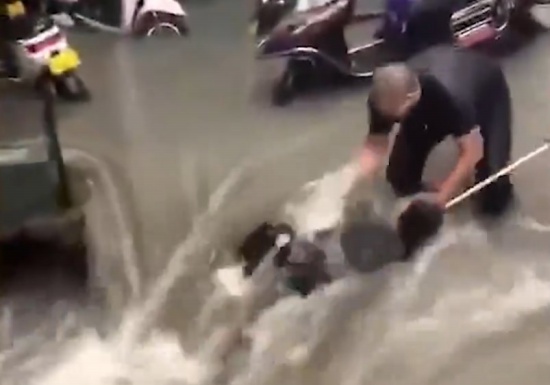 鄭州女子被沖進(jìn)水坑眾人拉繩救出